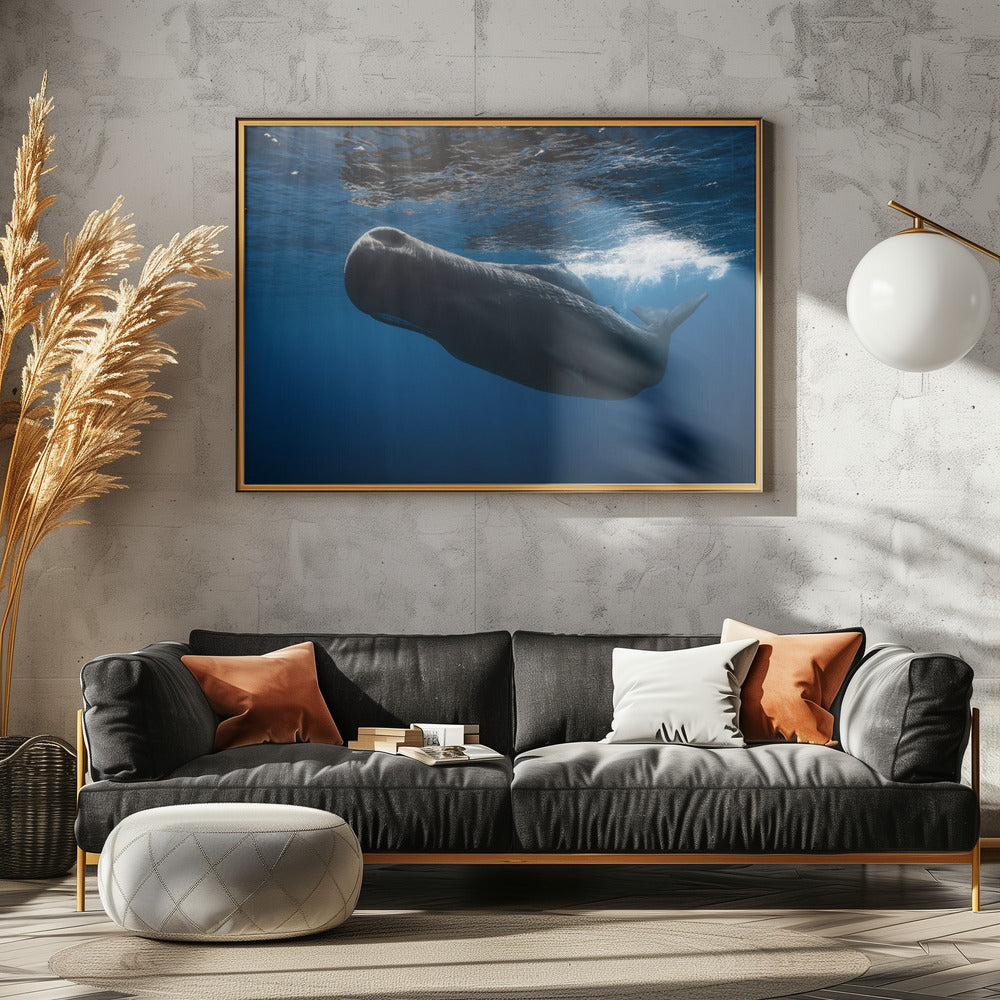 Sperm whale Poster