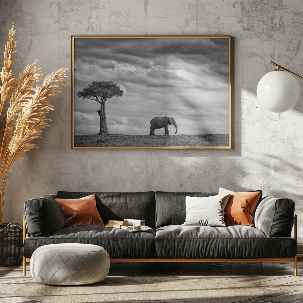 Elephant Landscape Poster