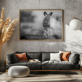 Monochrome Wild Dog Poster