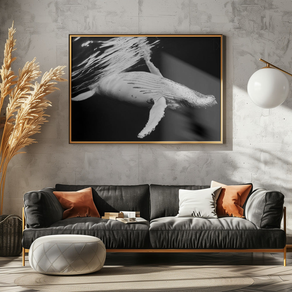 Black &amp; Whale Poster