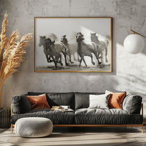 Horse Poster