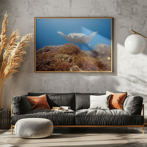 Natural aquarium Poster