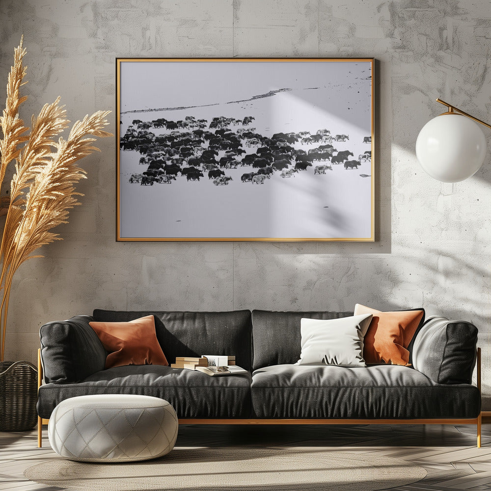 Grazing in Snow Poster