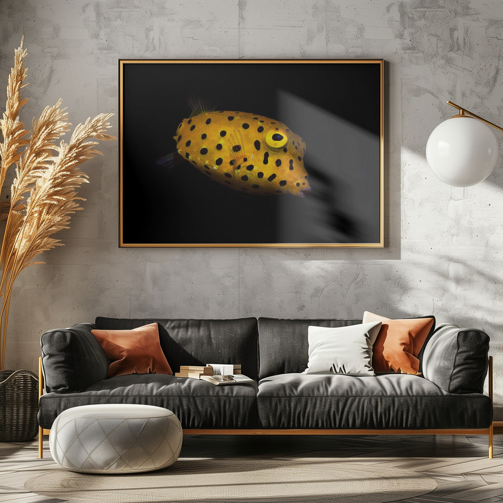 Yellow Boxfish Poster