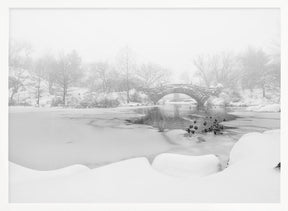 The first snow of central park Poster