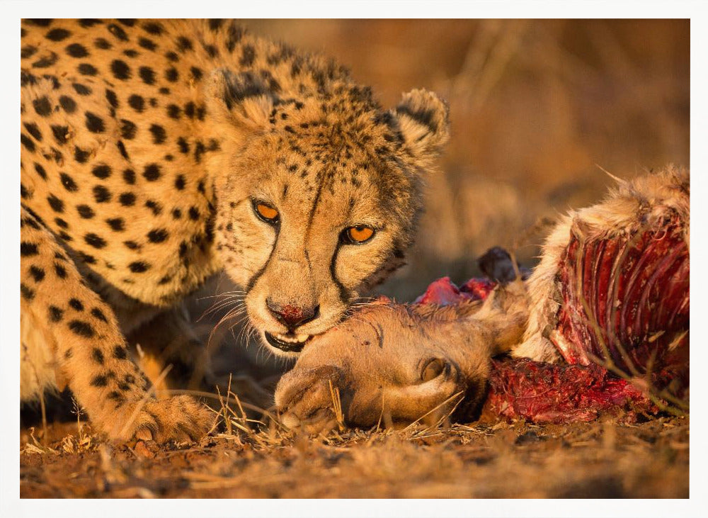 Eyes of Death Poster