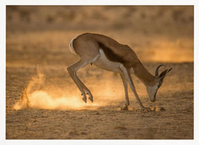 Kick up dust Poster