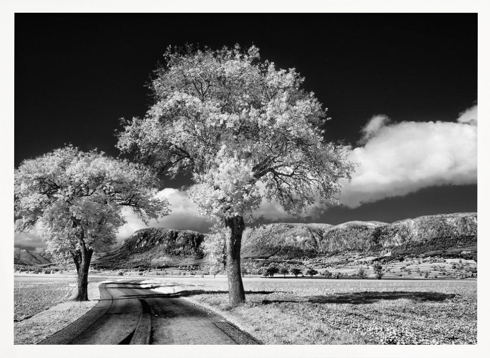 Hohe Wand Poster