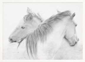 Horses Poster