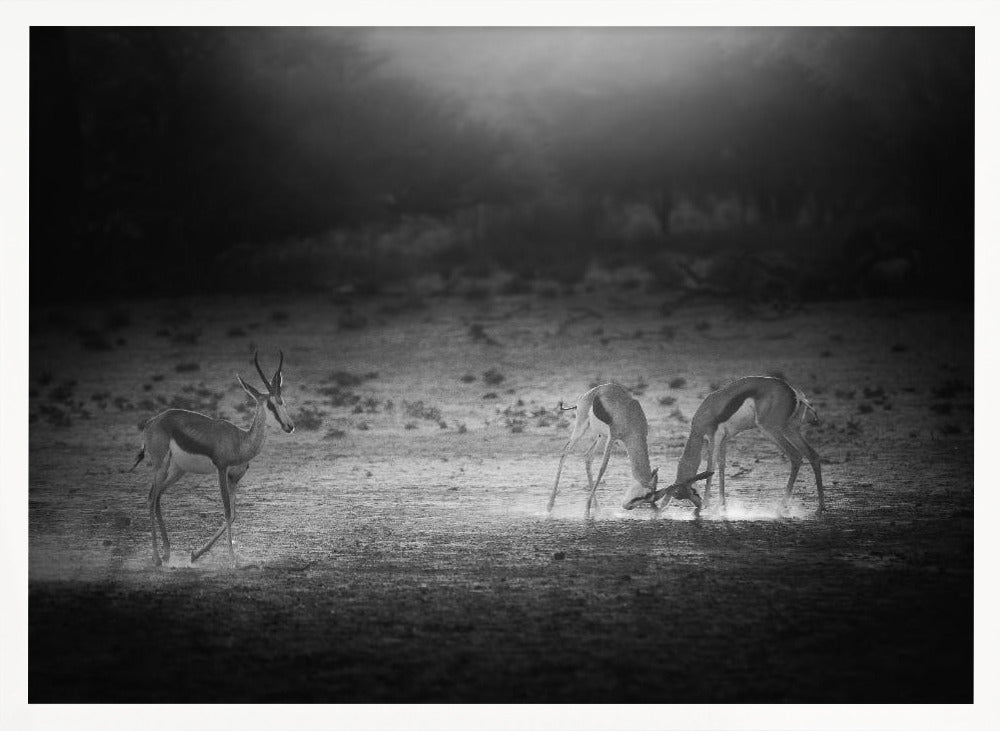 IN THE LIGHT OF SUNSET Poster