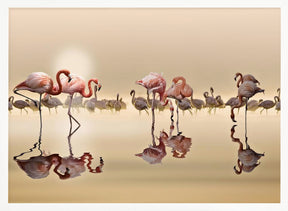 FLAMINGOS Poster