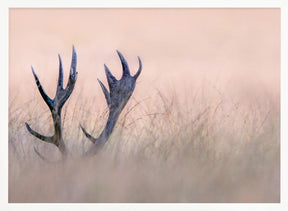 Hide &amp; Seek  ( Horn of Stag) Poster