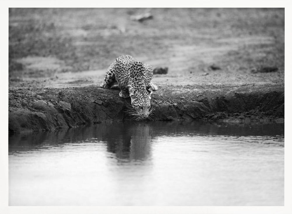 DECISIVE MOMENT Poster