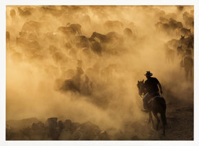 Cappadocia wild horses Poster