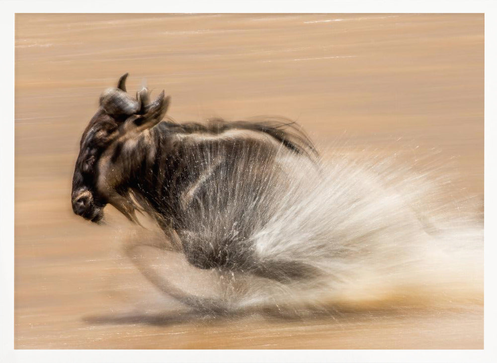 SLOW SHUTTER WILDEBEEST Poster