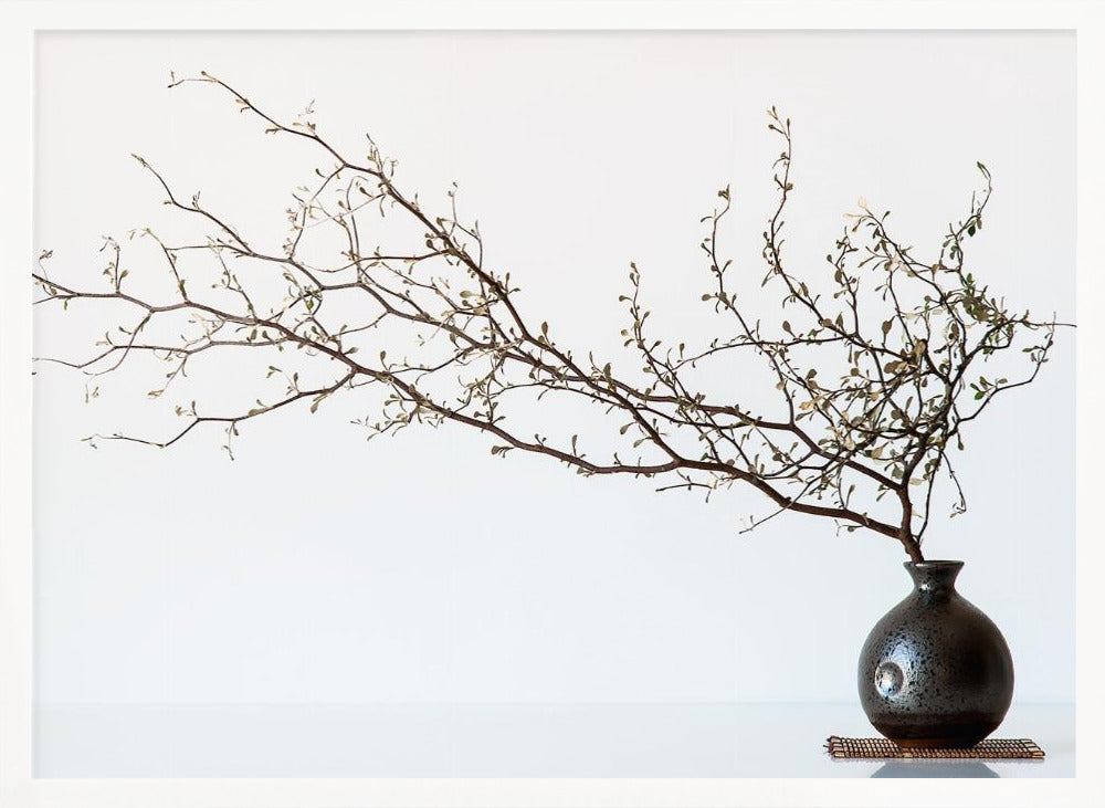 Vase And Branch Poster