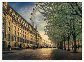 Last Daylights at the London Eye Poster