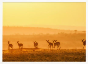 Towards Sunset Poster