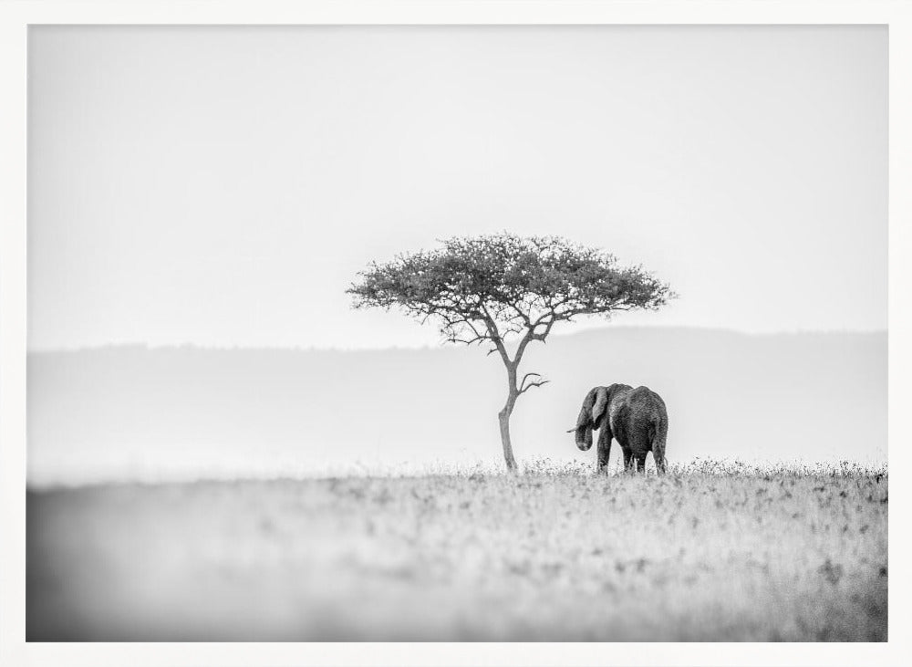 UMBRELLA THORN Poster