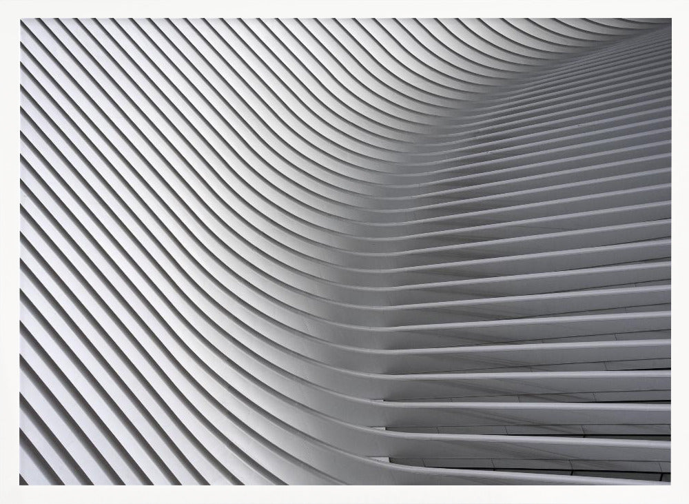 Calatrava Curves # 2 Poster