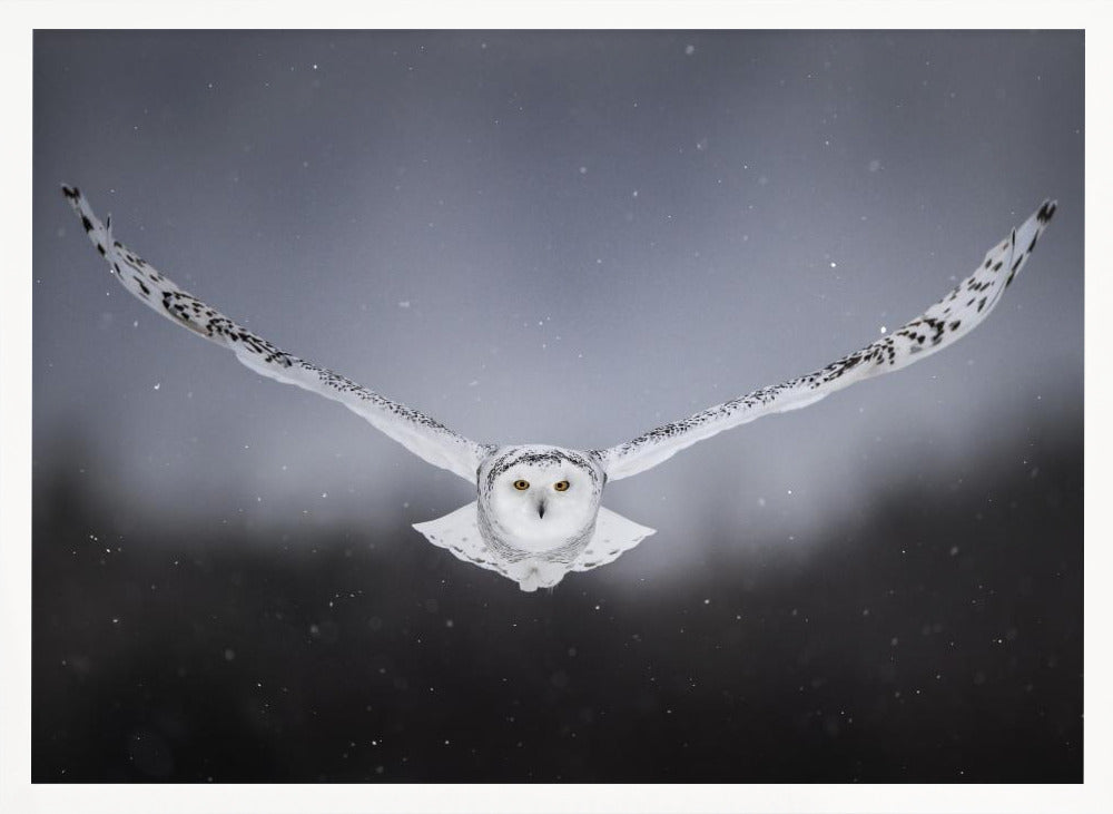 Straight to me Poster