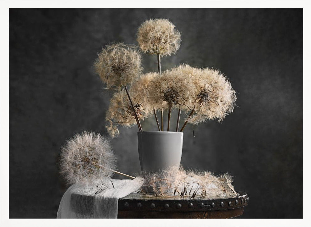 Dandelion Seed Pod Poster