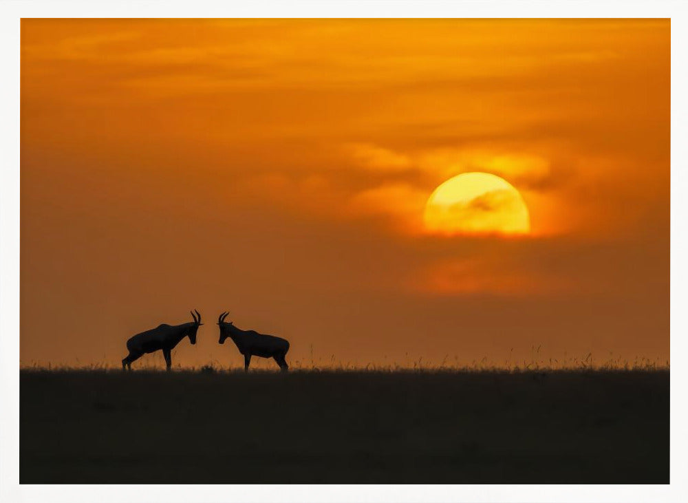 At The Sunset Poster