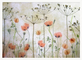 Poppy Meadow Poster