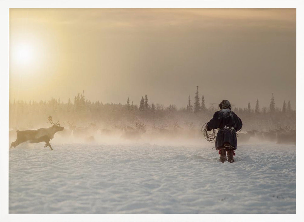 Reindeer hunter Poster