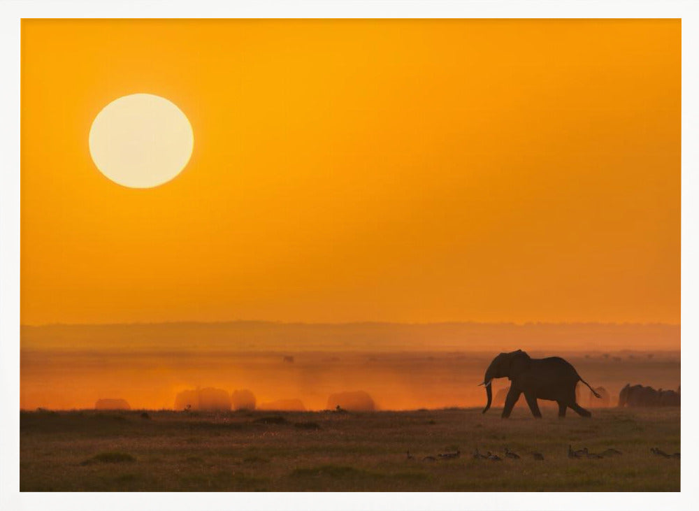 A Golden Morning Poster