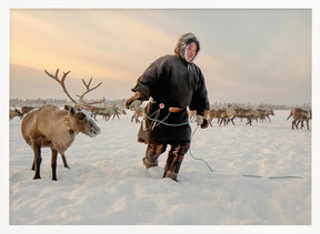 Nenet and reindeer Poster