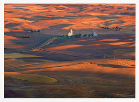 Golden Palouse Poster