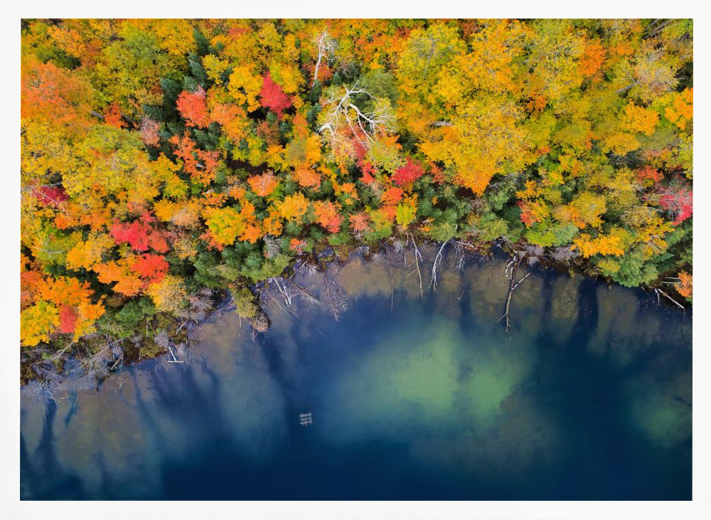 Autumn Pond Poster