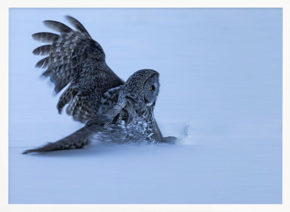 Sliding in The Snow Poster