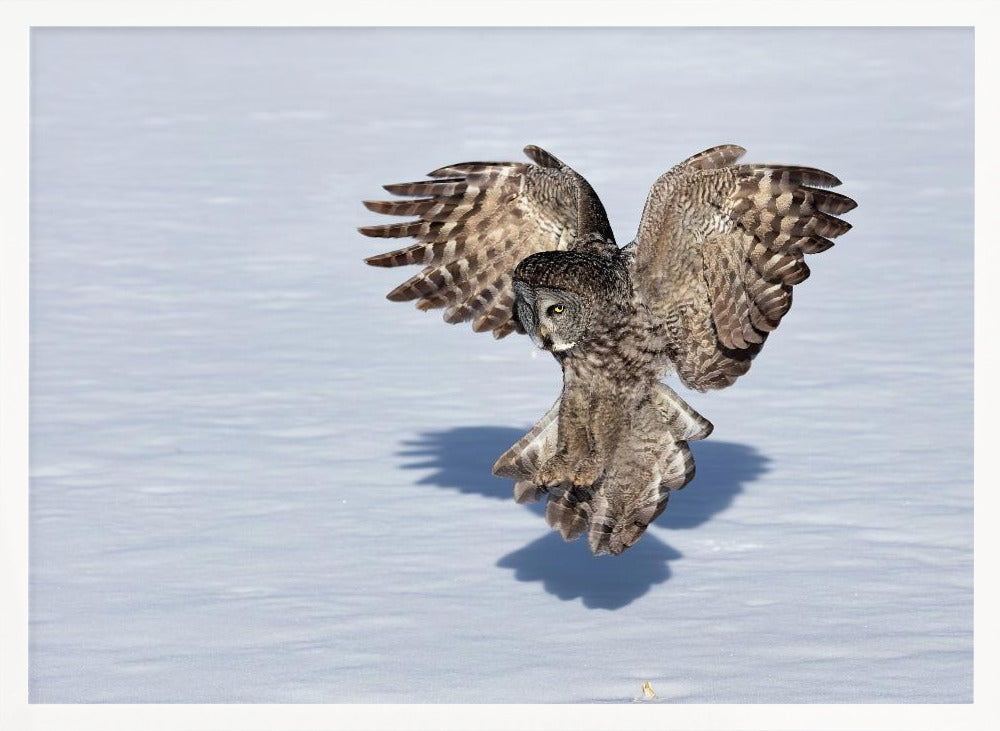 Just Before The Catch Poster