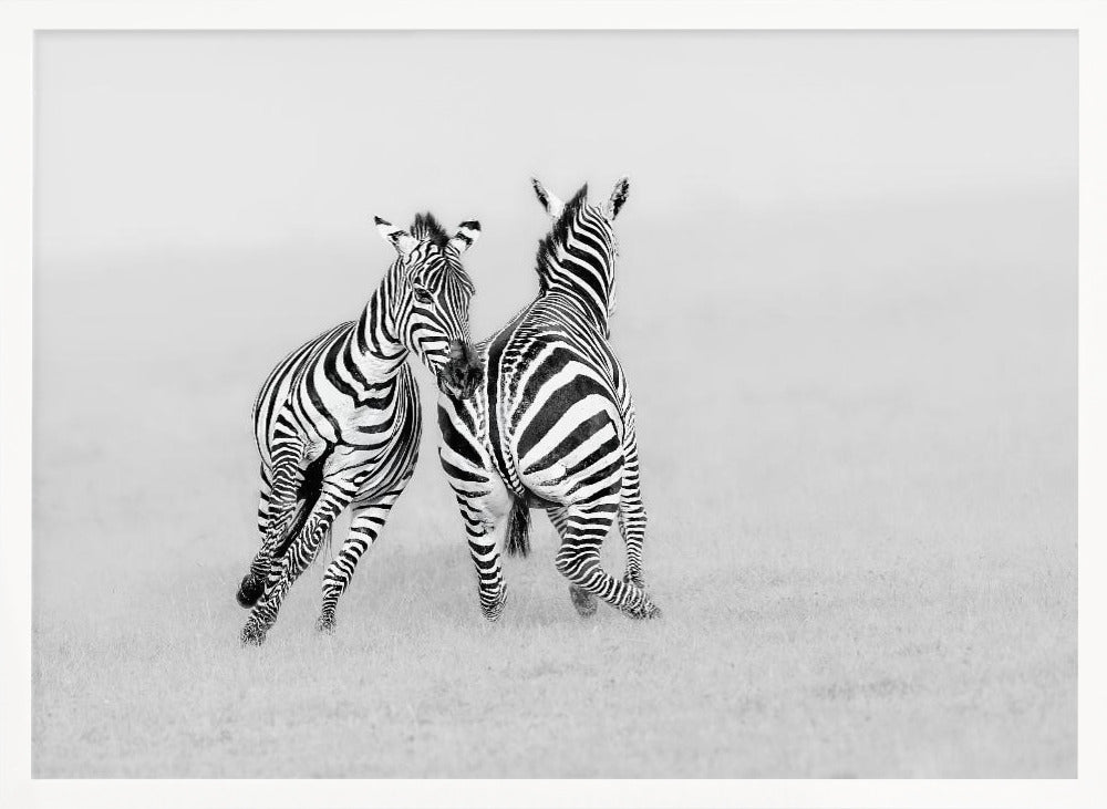 Playing or Fighting? Poster