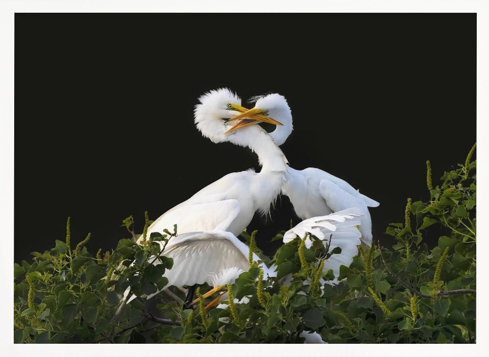 Fight For ... Poster