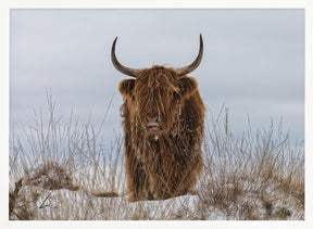 Highlander in Snow Poster