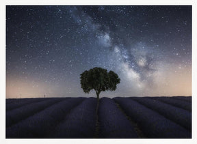 Tree and Milky Way Poster