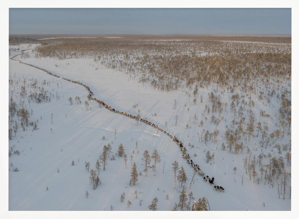 Nenets caravan on the move II Poster