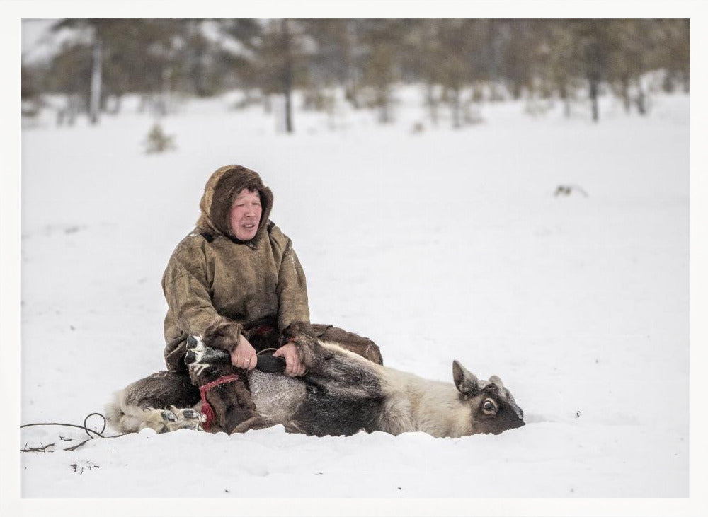 Jigorij catches reindeer Poster