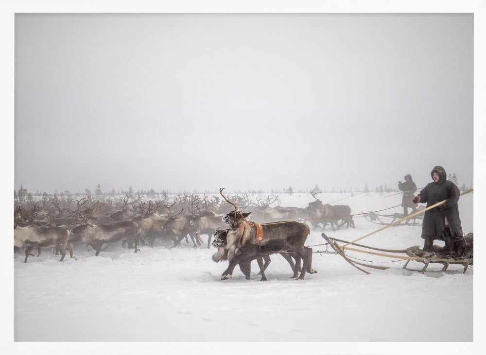 Arkadij and Kolja riding the herd Poster