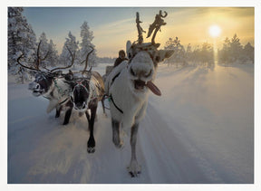 Frozen ride in tundra Poster