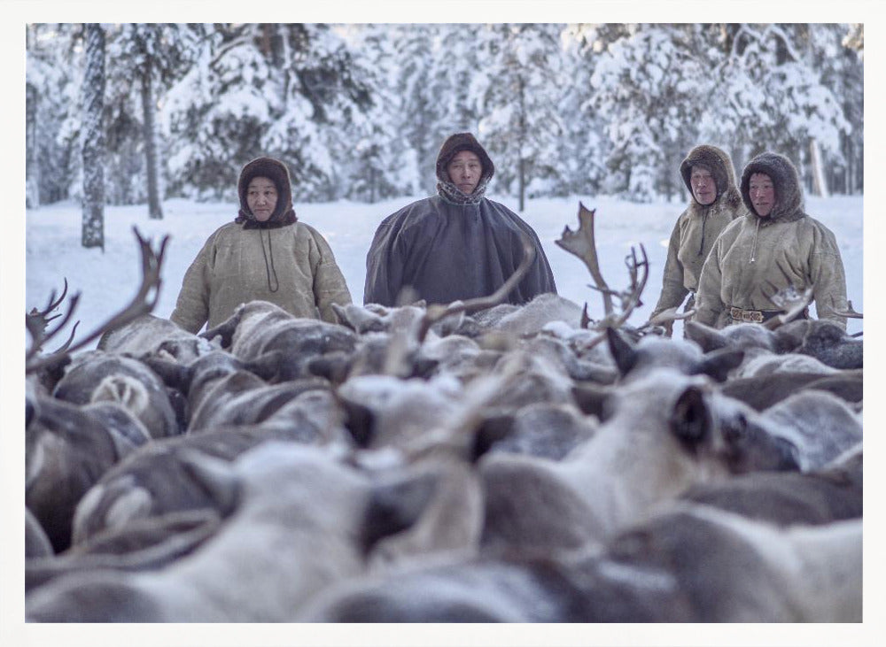 Kanyuk family and their reindeers Poster