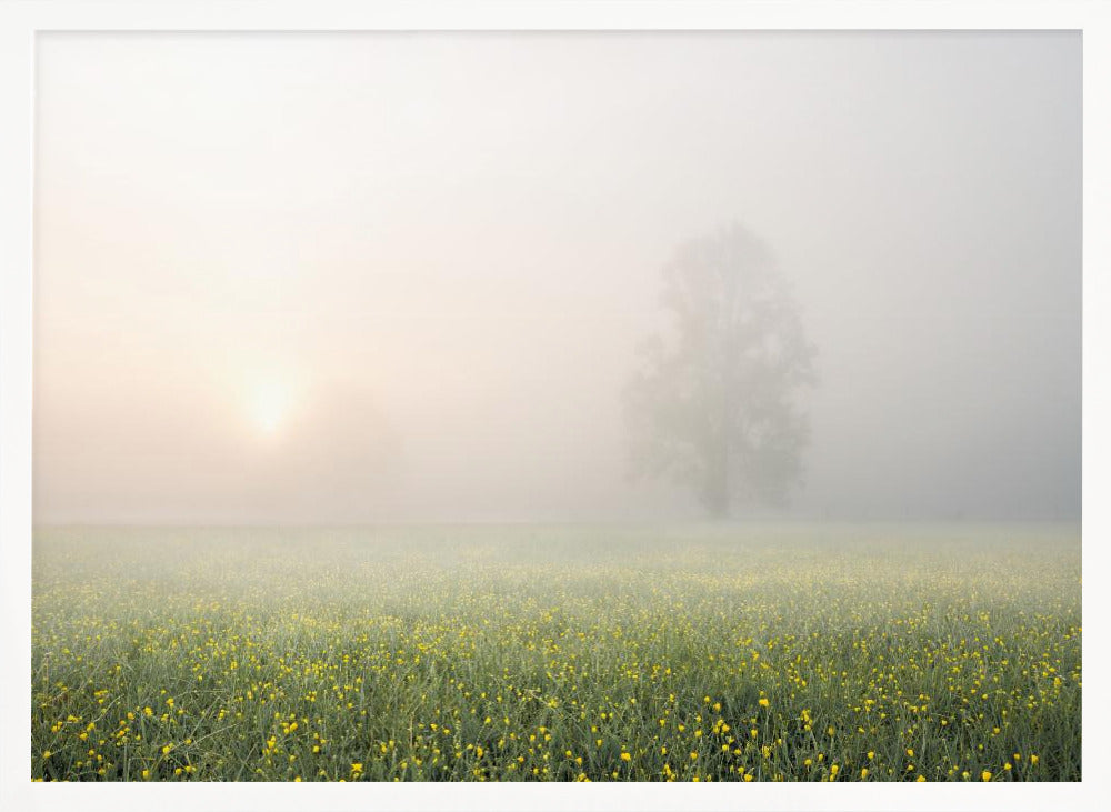 Spring Decoration Poster