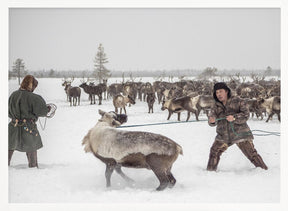 Kolya catches reindeer Poster