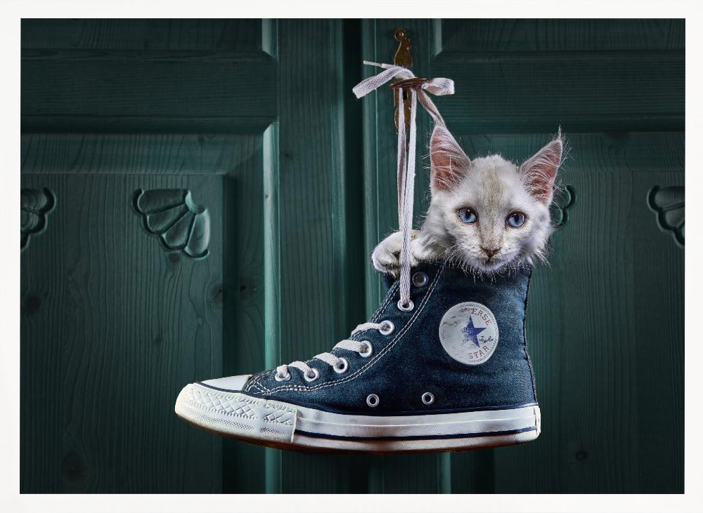 CatShoe Poster