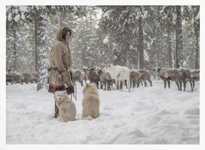 Jigorij, dogs and the herd Poster