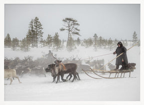 Arkadij and Kostya are riding the herd Poster