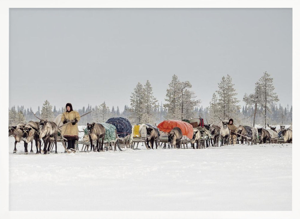 Women from the 8th Brigade on their way to the new camp Poster